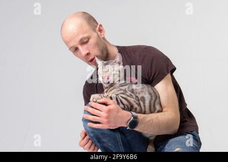 Bengalkatze leckt sich die Lippen, während sie auf dem Schoß des Besitzers sitzt. Nahaufnahme des Porträts im Studio Stockfoto