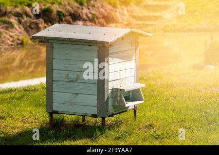 Bienenstock befindet sich am Ufer eines Dorfteiches Stockfoto