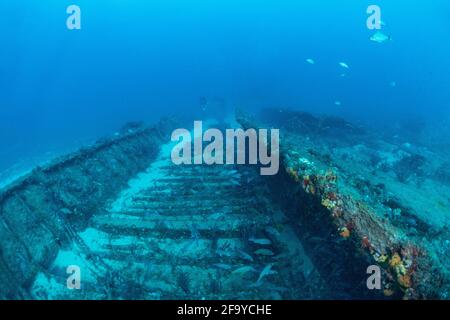 West Palm Beach Florida Wrack Tauchen Stockfoto