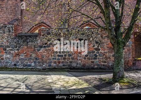 Berliner Franziskanerkloster, Franziskaner-Klosterkirche. Steinmauer mit Ruinen eines mittelalterlichen Klosters in der Altstadt, Mitte-Berlin, Deutschland Stockfoto