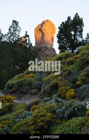 Roque Nublo, eines der berühmtesten Wahrzeichen von Gran Canaria Stockfoto