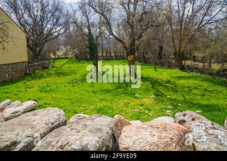 Garten. Alameda el Valle, Provinz Madrid, Spanien. Stockfoto