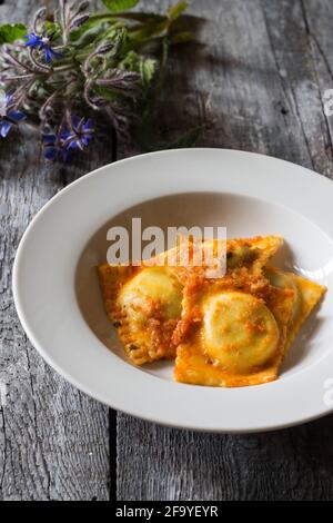 Hausgemachte Ravioli gefüllt mit Borretsch und Kartoffeln mit vegetarischen Kleidern Ragout Stockfoto