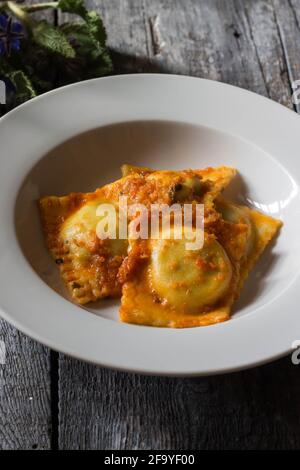 Hausgemachte Ravioli gefüllt mit Borretsch und Kartoffeln mit vegetarischen Kleidern Ragout Stockfoto