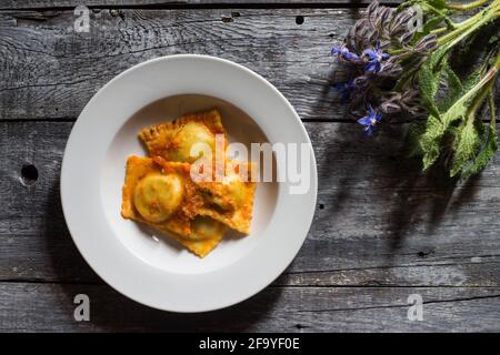 Hausgemachte Ravioli gefüllt mit Borretsch und Kartoffeln mit vegetarischen Kleidern Ragout Stockfoto