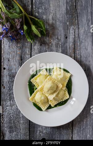 Ravioli gefüllt mit Kartoffeln und Karotten auf einem Bett Borretschpüree mit einer Prise Parmesan und schwarzem Käse Pfeffer Stockfoto
