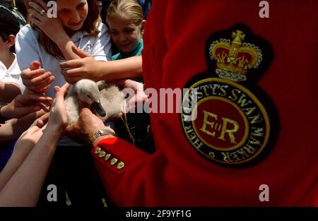 SWAN UPPING AUF DER THEMSE ZWISCHEN MARLOW UND HENLEY. 17/7/02 PILSTON Stockfoto