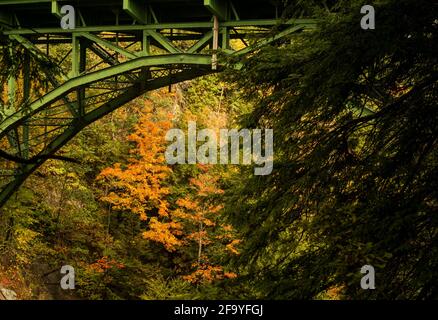 Eine grüne Eisenbrücke, die Quechee Gorge, Vermont, USA im Herbst überspannt. Stockfoto