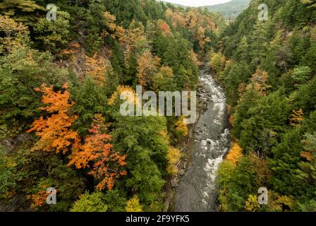 Der Ottauquechee River, der im Herbst durch die Quechee Gorge, Vermont, USA fließt. Stockfoto