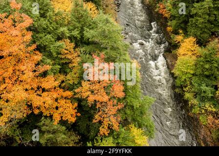 Der Ottauquechee River, der im Herbst durch die Quechee Gorge, Vermont, USA fließt. Stockfoto