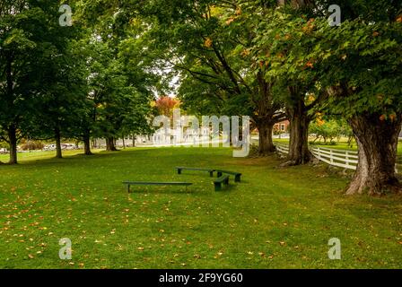 Bänke auf einer Wiese, umgeben von alten Bäumen und einem weißen Zaun im Canterbury Shaker Village, New Hampshire, USA. Stockfoto