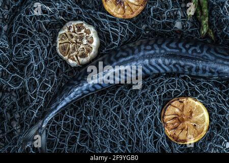 Roher Fisch Atlantische Makrele ungekocht auf Fischernetzgrund mit gegrilltem Knoblauch, Limette und Spargel Stockfoto