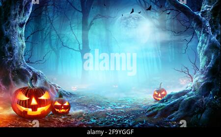 Jack O’ Laternen im Spooky Forest bei Moonlight - Halloween Stockfoto