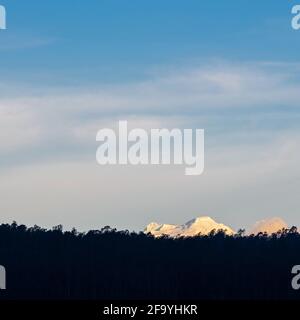 Antisana Andes Peak ragt bei Sonnenuntergang über einem Wald auf, Quito, Antisana Ecological Reserve, Ecuador. Stockfoto