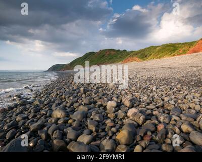 Der Strand und das Babbacombe Cliff bei Peppercombe an der Küste von North Devon, England. Stockfoto