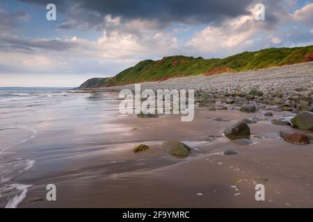 Der Strand und das Babbacombe Cliff bei Peppercombe an der Küste von North Devon, England. Stockfoto