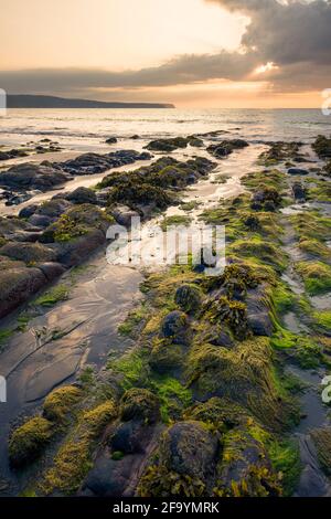 Peppercombe Beach bei Sonnenuntergang an der Küste von North Devon mit Hartland Point in der Ferne, England. Stockfoto