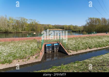 Sheepwash Local Nature Reserve in Sandwell, West Midlands, Großbritannien, wurde 1981 aus zurückgewonnenen Industriebrachflächen geschaffen, durch die der Fluss Tame fließt. Stockfoto