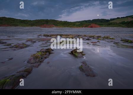 Mondaufgang über den Klippen in der Dämmerung vom Peppercombe Beach bei Ebbe an der Küste von North Devon, England. Stockfoto