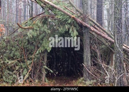 Primitives Überlebensheim im Wald schiefender Fokus Stockfoto