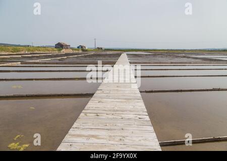 Traditionelles Salzgewinnungslager (Salinas) in Figueira da Foz, Portugal Stockfoto