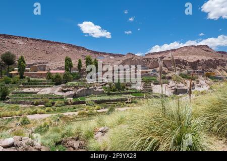 Blick auf Caspana, ein kleines Dorf in einer Oase in der Atacama Wüste im Norden Chiles. Stockfoto