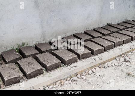 Lehmziegel trocknen im Dorf La Campa, Honduras Stockfoto