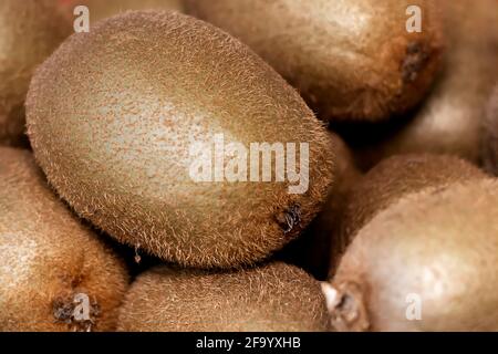 Nahaufnahme einer Kiwifruit-Gruppe mit behaarter Haut. Stockfoto