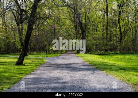 Ein Landschaftsfoto eines Wanderweges, der in den Wald führt, aufgenommen im Great Falls National Park. Stockfoto