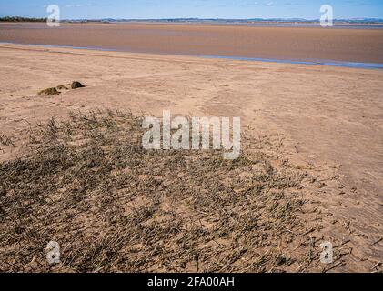 Sandstrand bei Ebbe, Port Carlisle, Cumbria, England Stockfoto