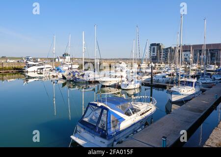 Die Boote vertäuten im Victoria Dock, Caernarfon Stockfoto