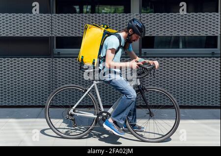 Junger bärtiger Kurier, der Essen auf einem Fahrrad liefert und die Bestellung mit einem Smartphone überprüft Stockfoto