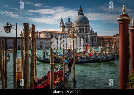 Basilica di Santa Maria della Salute, Venedig Stockfoto