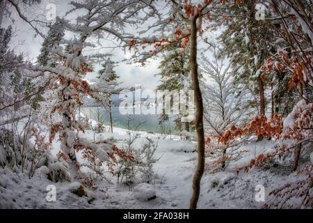 DE - BAYERN: Winter am Walchensee Stockfoto