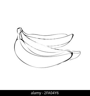Banana Fruit Illustration in Linie Art schwarze Farbe isoliert auf Weißer Hintergrund Stock Vektor
