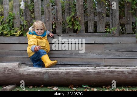 2-jähriges Mädchen in leuchtend gelben Gummikrümpfen und Regenmantel, das auf einem Baumstamm spielt. Stockfoto