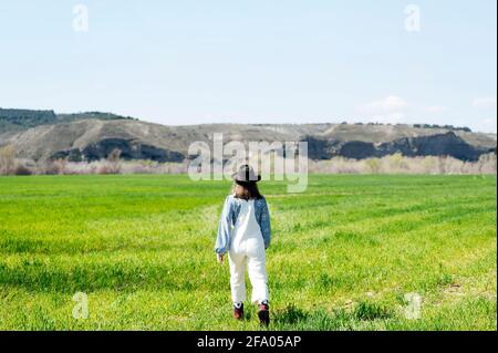 Frau mit dem Rücken, die durch das Feld geht Stockfoto