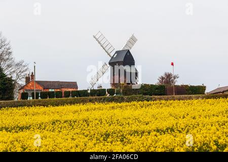 Dale Abbey, Ilkeston, UK, April,18,2021: Die Katz- und Geigenwindmühle in der ländlichen Landschaft im Frühjahr mit einem Feld von Rapspflanzen. Stockfoto