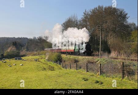 6960 Raveningham Hall fährt mit der Severn Valley Railway von der Arley nr Severn Lodge ab. Stockfoto