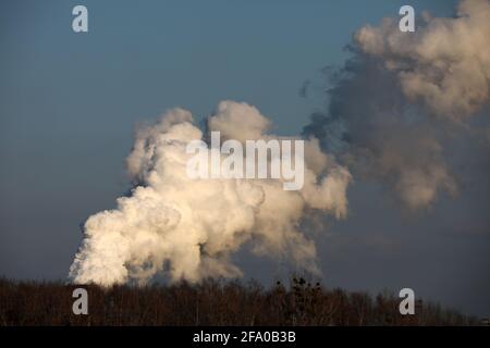 Paare mit einer Fabrik hinter dem Wald Stockfoto