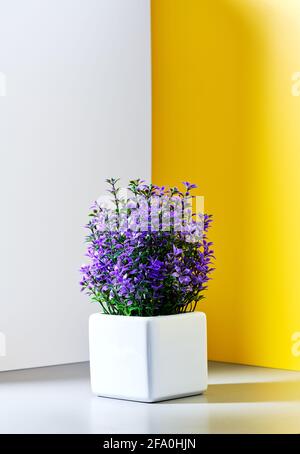 Ein Topf mit Fliederblüten auf einem grau-gelb-weißen Hintergrund Stockfoto
