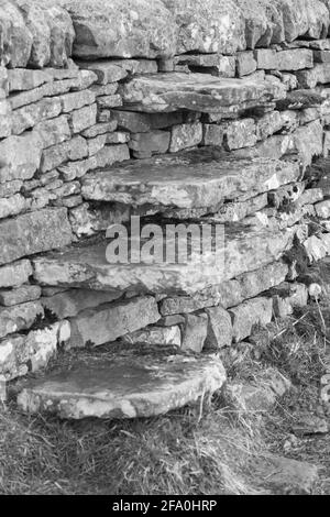 Landschaften und Szenen vom Wandern auf dem Pennine Way National Trail, der durch die Landschaft von Northumberland führt Stockfoto