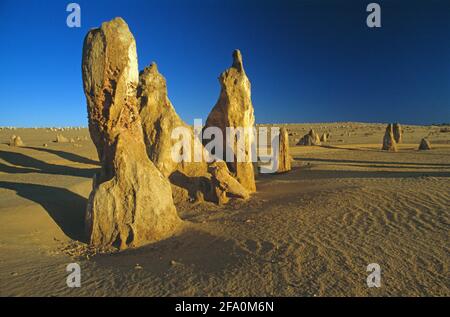 Westaustralien. Neue Wüstenszene in der Region Norcia. Die Pinnacles. Stockfoto