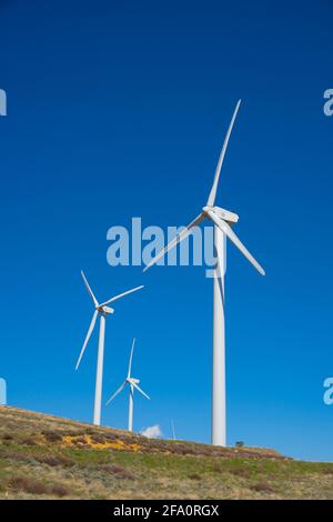 In den Bergen über Los Angeles, Kalifornien, werden in der Nähe von Häusern Windkraftanlagen betrieben Stockfoto