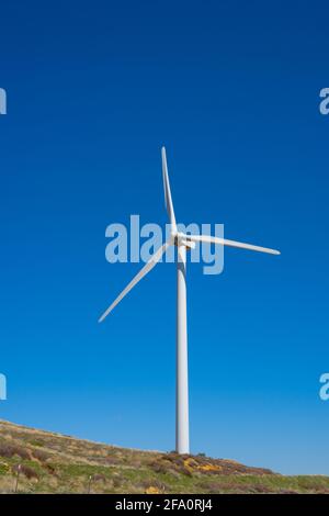 In den Bergen über Los Angeles, Kalifornien, werden in der Nähe von Häusern Windkraftanlagen betrieben Stockfoto