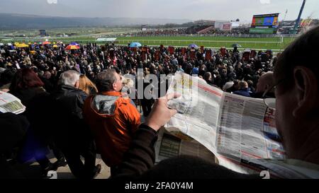 CHELTENHAM FESTIVAL 2011. 1st Tag 15/3/2011. BILD DAVID ASHDOWN Stockfoto