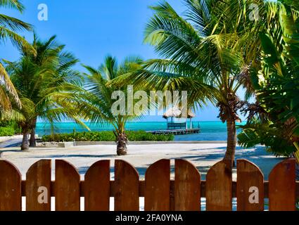 Malerische Strandszene mit weißem Sandstrand, Palmen und einem Pier mit Palapa auf Ambergris Caye, Belize. Stockfoto