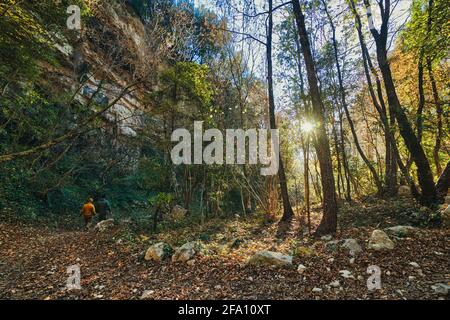 Schöne Kalksteinhöhle, Alte oolithische Steinbrüche in Massone, der extrahierte Stein, genannt "Tatuary Stone'Arco, Italien. Bosco Caproni Stockfoto