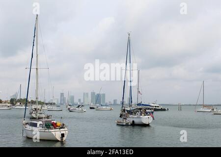 Segelboote ankerten an der Bucht in Miami Beach, Florida. Stockfoto