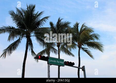 Lincoln Road Mall Straßenschild in Miami Beach mit Palmen im Hintergrund. Stockfoto